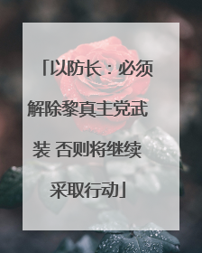 以防长：必须解除黎真主党武装 否则将继续采取行动