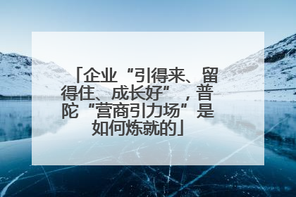 企业“引得来、留得住、成长好”，普陀“营商引力场”是如何炼就的