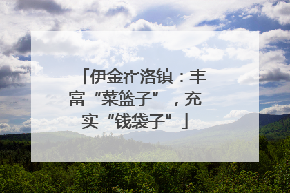 伊金霍洛镇：丰富“菜篮子”，充实“钱袋子”