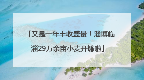 又是一年丰收盛景！淄博临淄29万余亩小麦开镰啦