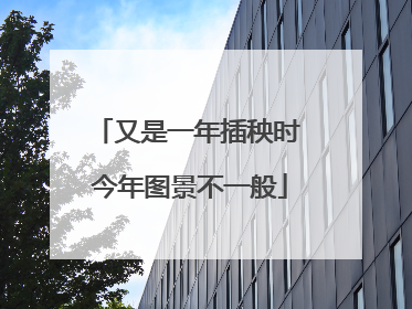 又是一年插秧时 今年图景不一般
