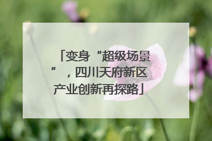 变身“超级场景”，四川天府新区产业创新再探路