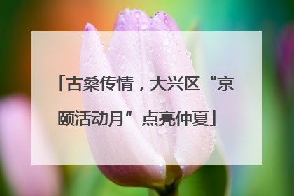 古桑传情，大兴区“京颐活动月”点亮仲夏
