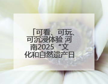 可看、可玩、可沉浸体验 河南2025“文化和自然遗产日”活动举行