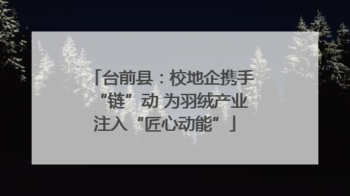 台前县：校地企携手“链”动 为羽绒产业注入“匠心动能”