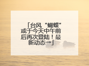 台风“蝴蝶”或于今天中午前后再次登陆！最新动态→