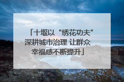 十堰以“绣花功夫”深耕城市治理 让群众幸福感不断提升