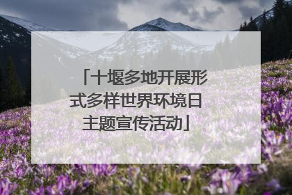 十堰多地开展形式多样世界环境日主题宣传活动