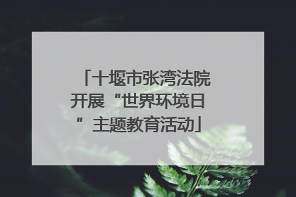 十堰市张湾法院开展“世界环境日”主题教育活动