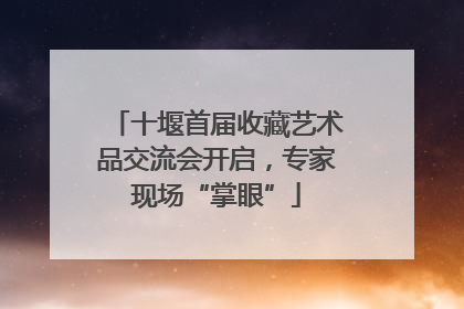 十堰首届收藏艺术品交流会开启，专家现场“掌眼”