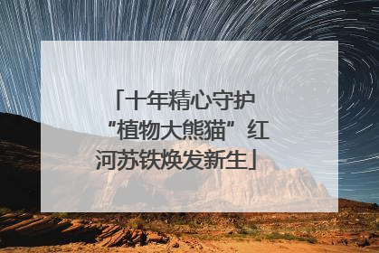 十年精心守护 “植物大熊猫”红河苏铁焕发新生