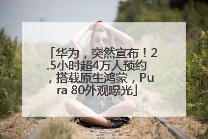 华为，突然宣布！2.5小时超4万人预约，搭载原生鸿蒙，Pura 80外观曝光