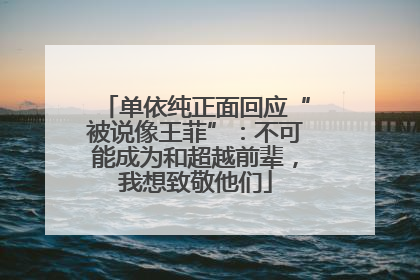 单依纯正面回应“被说像王菲”：不可能成为和超越前辈，我想致敬他们