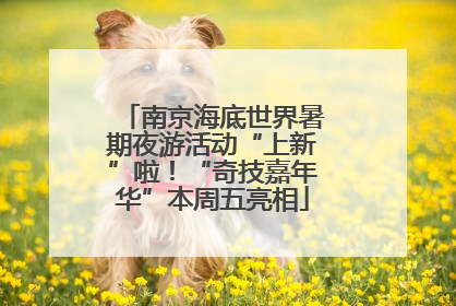 南京海底世界暑期夜游活动“上新”啦！“奇技嘉年华”本周五亮相