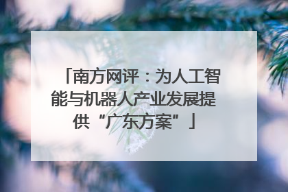 南方网评：为人工智能与机器人产业发展提供“广东方案”