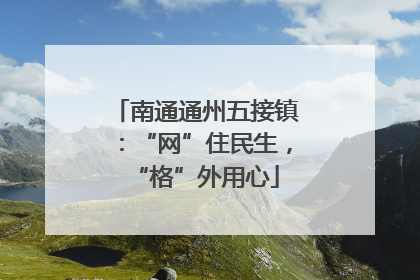 南通通州五接镇：“网”住民生，“格”外用心