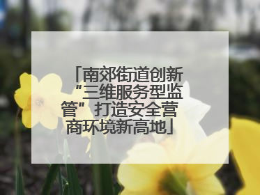 南郊街道创新“三维服务型监管”打造安全营商环境新高地
