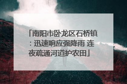 南阳市卧龙区石桥镇：迅速响应强降雨 连夜疏通河道护农田