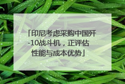 印尼考虑采购中国歼-10战斗机，正评估性能与成本优势