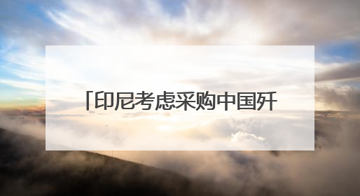 印尼考虑采购中国歼-10战斗机 正评估性能与成本优势