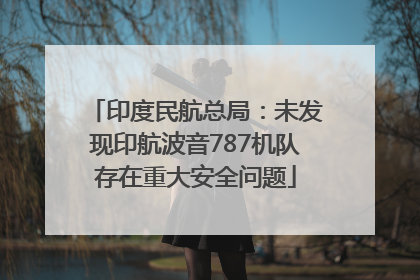 印度民航总局：未发现印航波音787机队存在重大安全问题