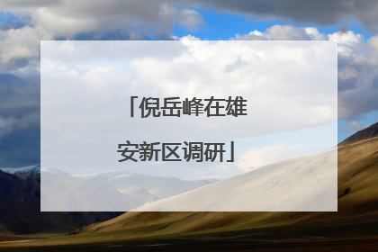 倪岳峰在雄安新区调研