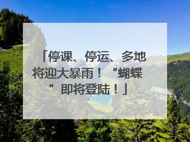 停课、停运、多地将迎大暴雨！“蝴蝶”即将登陆！
