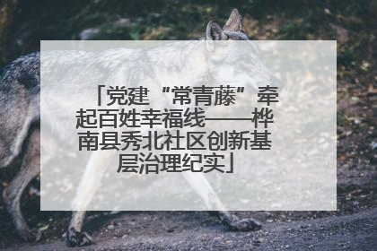 党建“常青藤”牵起百姓幸福线——桦南县秀北社区创新基层治理纪实