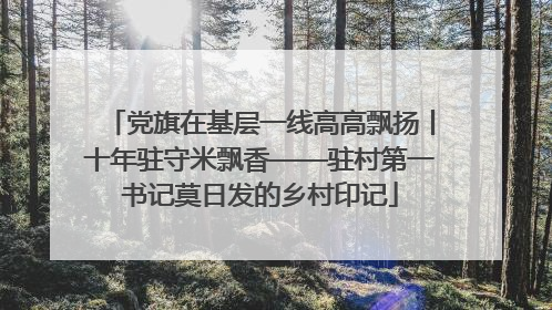 党旗在基层一线高高飘扬丨十年驻守米飘香——驻村第一书记莫日发的乡村印记