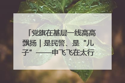 党旗在基层一线高高飘扬｜是民警、是“儿子”——申飞飞在太行山中的一线坚守
