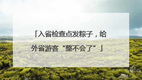 入省检查点发粽子，给外省游客“整不会了”