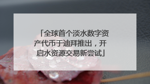 全球首个淡水数字资产代币于迪拜推出，开启水资源交易新尝试
