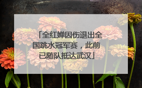 全红婵因伤退出全国跳水冠军赛，此前已随队抵达武汉