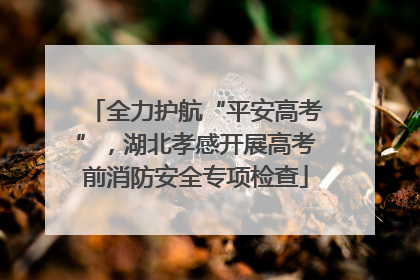 全力护航“平安高考”，湖北孝感开展高考前消防安全专项检查