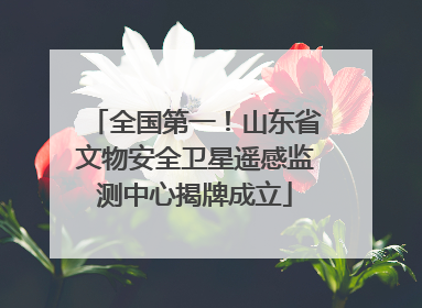 全国第一！山东省文物安全卫星遥感监测中心揭牌成立
