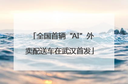 全国首辆“AI”外卖配送车在武汉首发