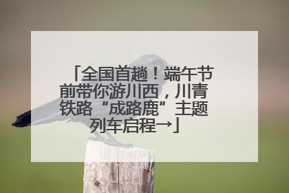 全国首趟！端午节前带你游川西，川青铁路“成路鹿”主题列车启程→