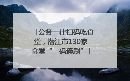 公务一律扫码吃食堂，潜江市130家食堂“一码通刷”