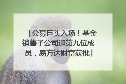 公募巨头入场！基金销售子公司迎第九位成员，易方达财富获批
