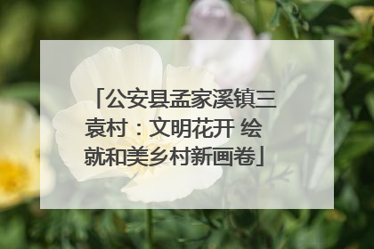 公安县孟家溪镇三袁村：文明花开 绘就和美乡村新画卷