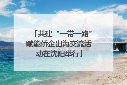 共建“一带一路”赋能侨企出海交流活动在沈阳举行