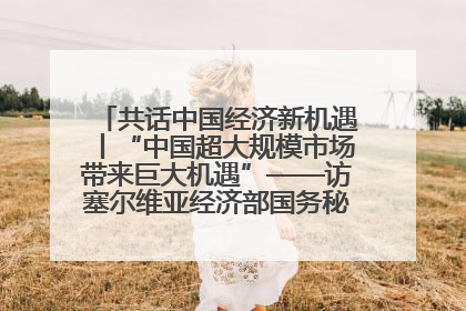 共话中国经济新机遇丨“中国超大规模市场带来巨大机遇”——访塞尔维亚经济部国务秘书尼科利奇