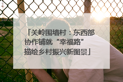 关岭围墙村：东西部协作铺就“幸福路” 描绘乡村振兴新图景