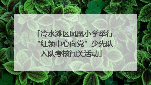 冷水滩区凤凰小学举行“红领巾心向党”少先队入队考核闯关活动