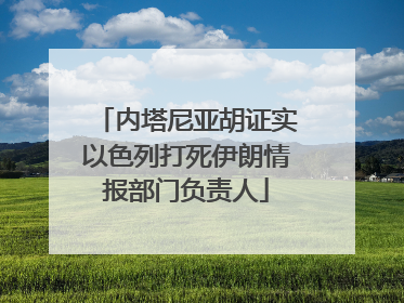 内塔尼亚胡证实以色列打死伊朗情报部门负责人
