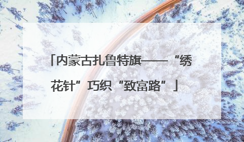 内蒙古扎鲁特旗——“绣花针”巧织“致富路”
