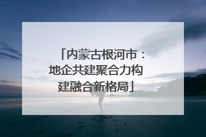 内蒙古根河市：地企共建聚合力构建融合新格局