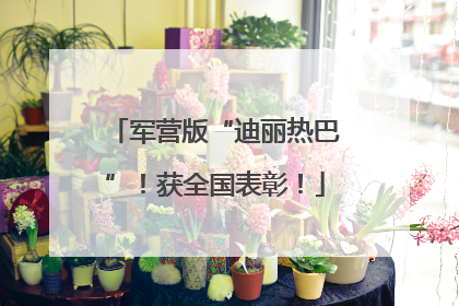 军营版“迪丽热巴”！获全国表彰！