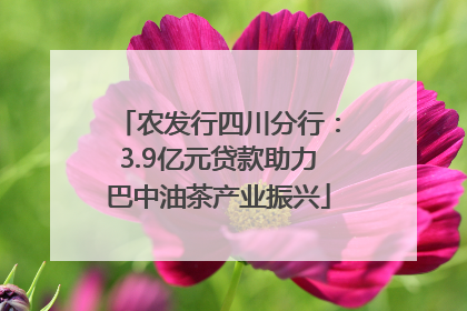 农发行四川分行：3.9亿元贷款助力巴中油茶产业振兴