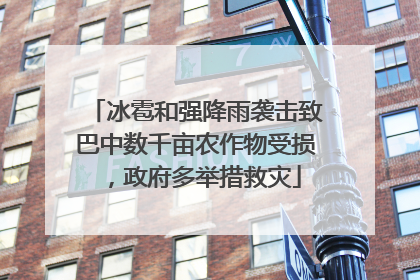 冰雹和强降雨袭击致巴中数千亩农作物受损，政府多举措救灾